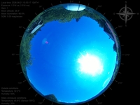 image-20260621155017.jpg