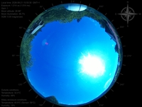 image-20260621155530.jpg