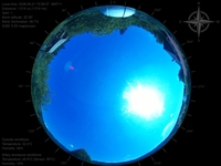 image-20260621155837.jpg