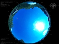 image-20260621162235.jpg