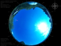 image-20260621164428.jpg