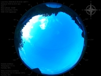 image-20260622054302.jpg