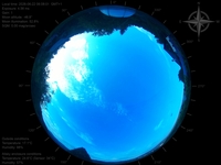 image-20260622060801.jpg