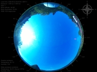 image-20260622084834.jpg