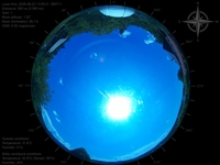 image-20260622135521.jpg