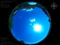 image-20260622153316.jpg