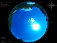 image-20260622153418.jpg
