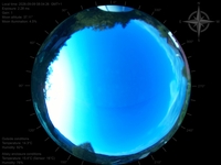 image-20260909080426.jpg