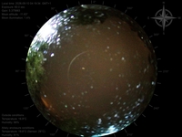 image-20260910041934.jpg