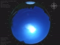 20241114