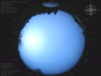20241118