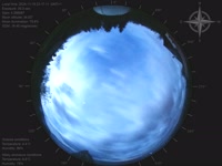 20241119