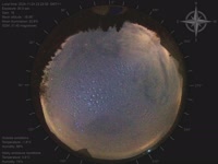 20241124