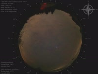 20241204