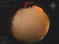 20241208