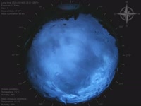 20250313
