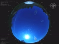 20250412