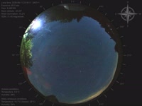20260611